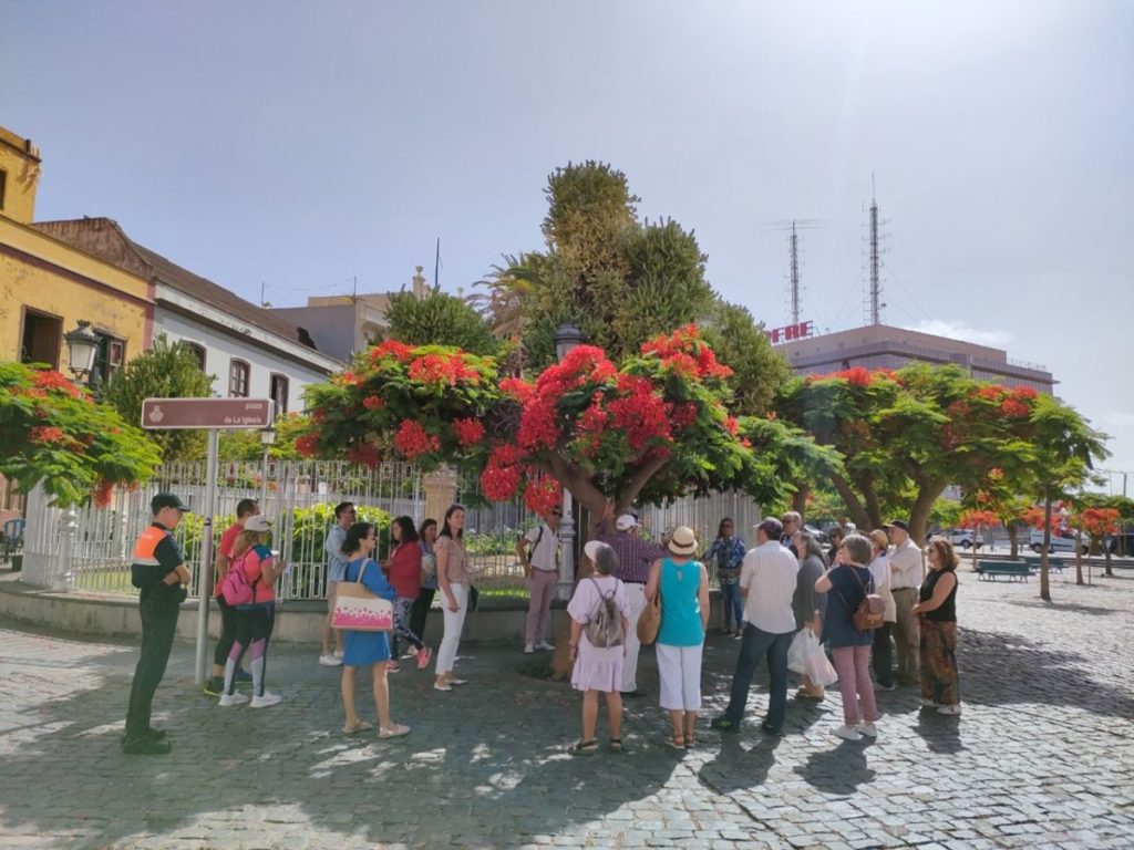 Grupo de personas atendiendo a una explicación junto a un árbol de gran porte en el centro de Santa Cruz de Tenerife