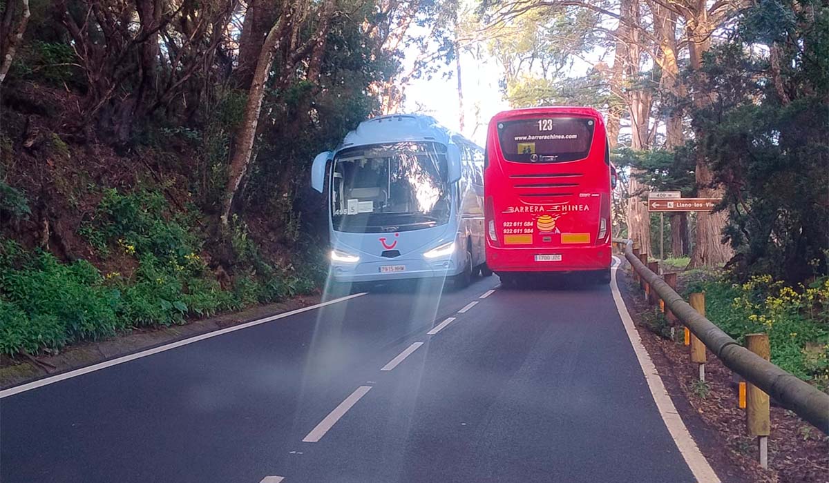 Vecinos de Anaga aseguran que las guaguas de turismo "incumplen" las medidas del protocolo de Movilidad