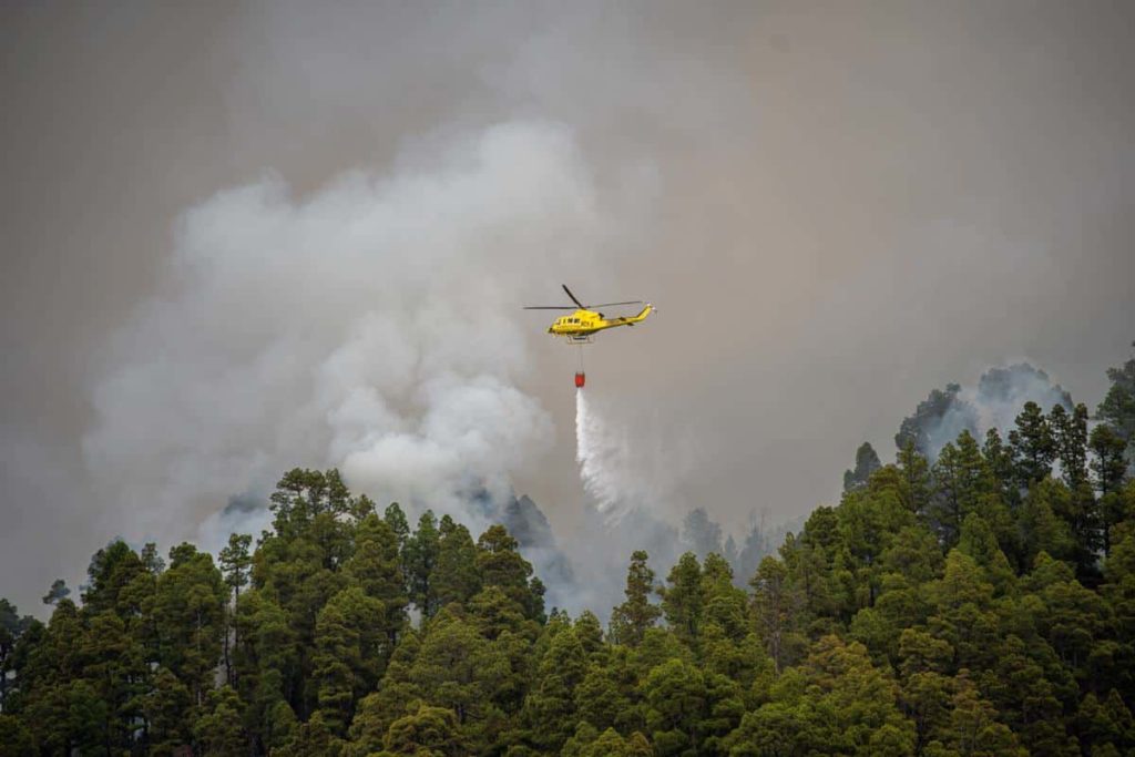 Gran Canaria se prepara para un gran incendio en Moya: lo que debes saber sobre el simulacro del 29 de abril