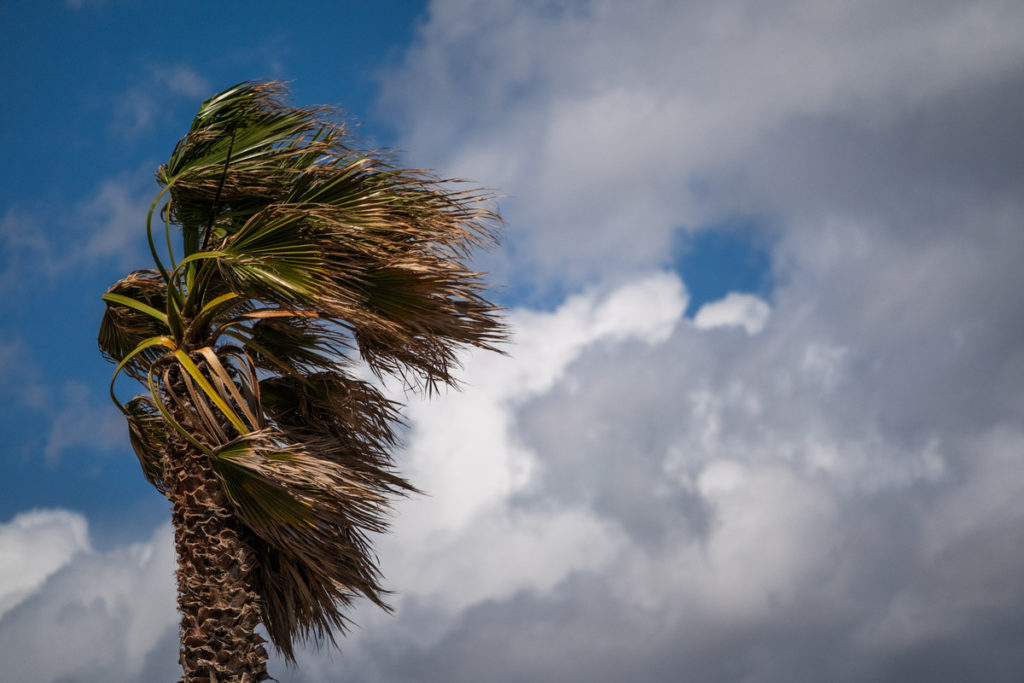 viento
