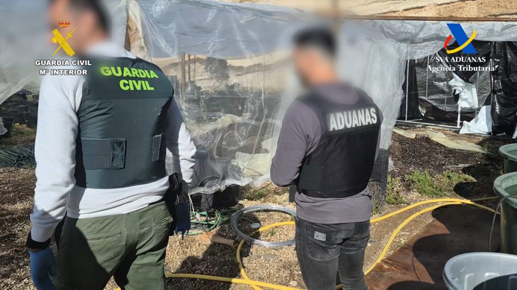 ¿Qué es el sirope de cannabis? La peligrosa sustancia encontrada en Tenerife que puede causar taquicardias