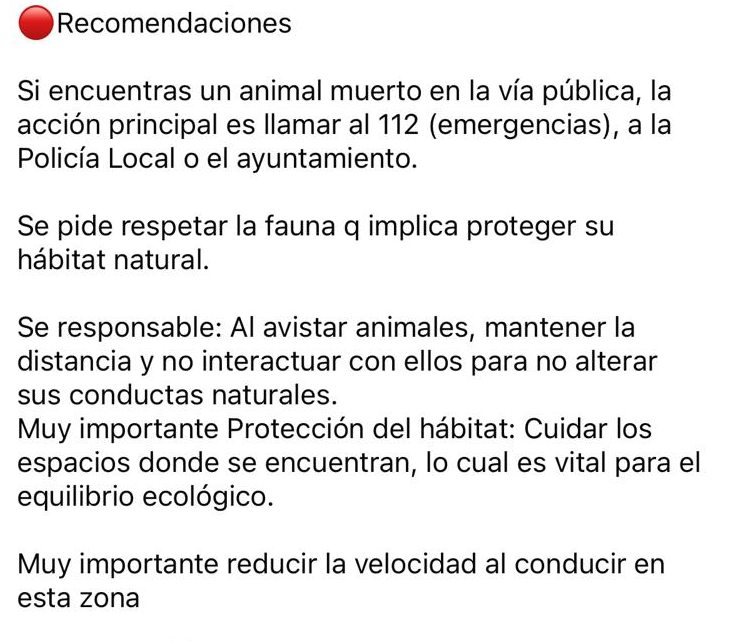 Publicación en Facebook del grupo Costa del Silencio residents. 