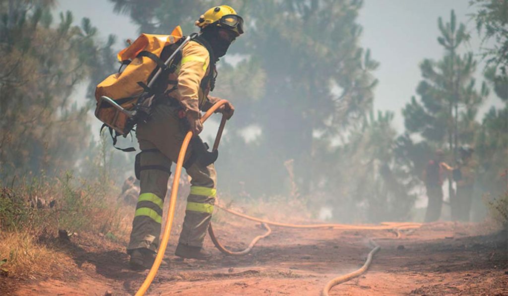 Simulacro de incendio forestal en Tenerife: ¿Cuándo y dónde será? Todo lo que debes saber