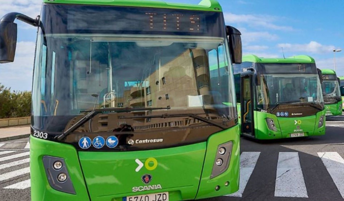 Cambios en las guaguas de Anaga: Santa Cruz mantendrá la línea 916 y planea ampliar sus horarios