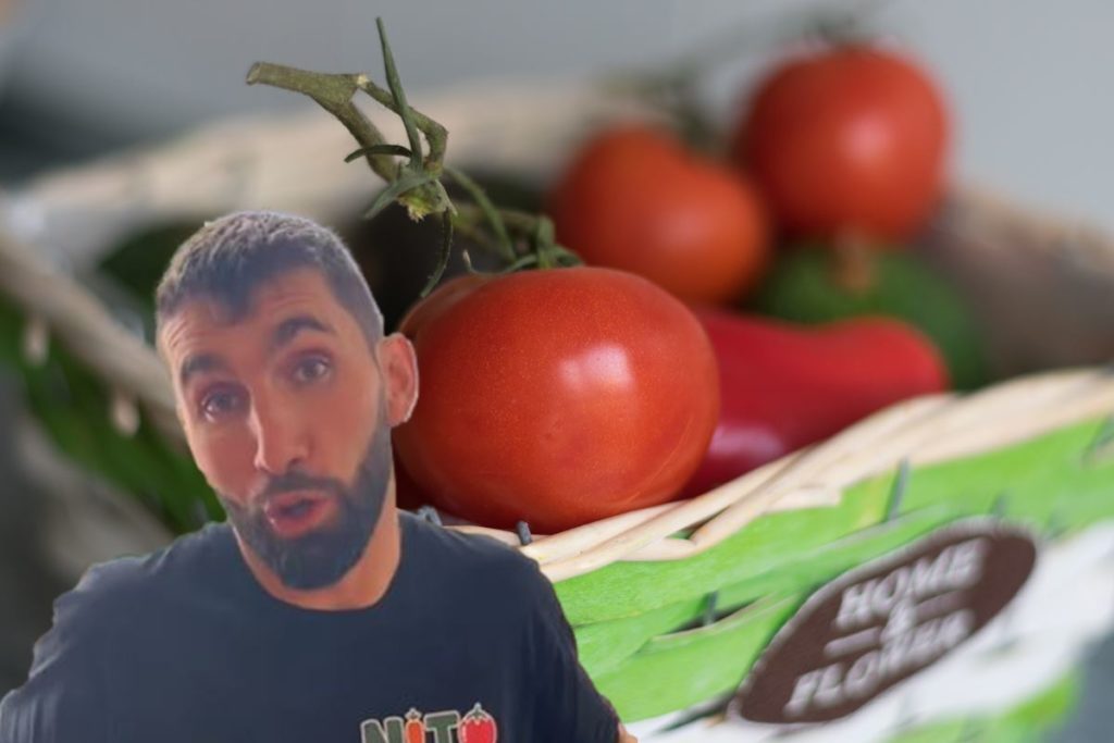 Nito, agricultor canario, sobre cómo guardar los tomates: "Estás tirando el dinero, van en el frutero"