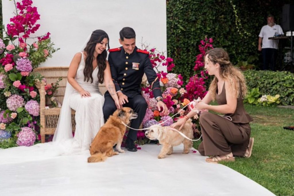 Las mascotas también llegan al altar en el norte de Tenerife. | DA