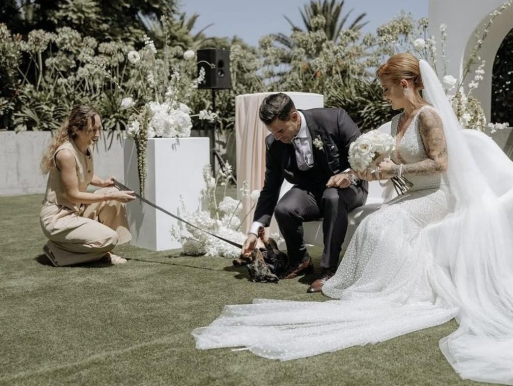 Las mascotas también llegan al altar en el norte de Tenerife. | DA
