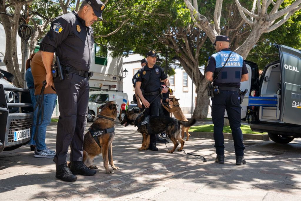 Champion, Trueno y Nami, los tres perros policía de Arona que ya vigilan colegios y zonas de ocio