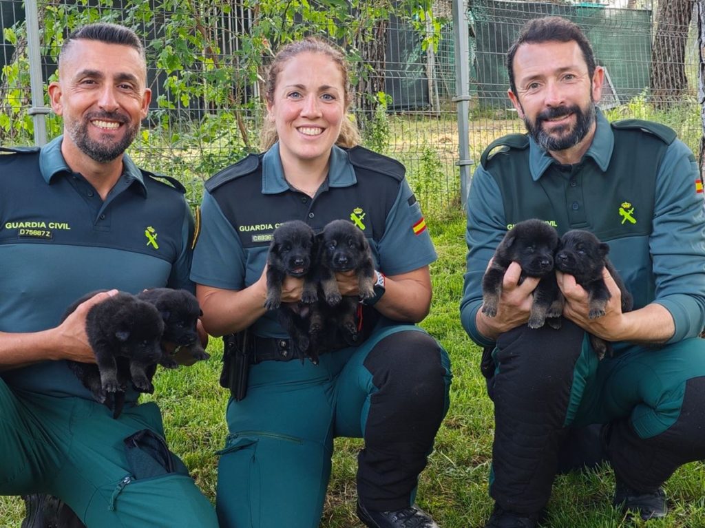 El "trabajo" más dulce: la Guardia Civil necesita voluntarios para acoger un cachorro en casa