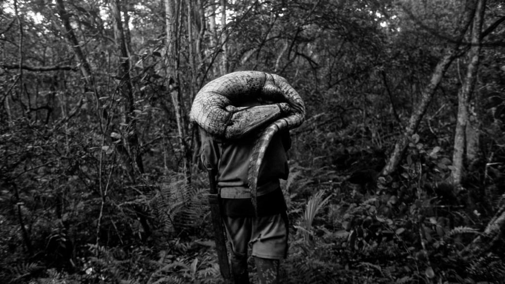 El Ficmec anuncia las seis obras de su sección oficial de largometraje documental