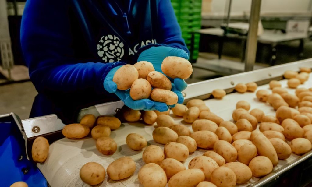Las compras de Mercadona a proveedores canarios superaron los 810 millones de euros en 2025