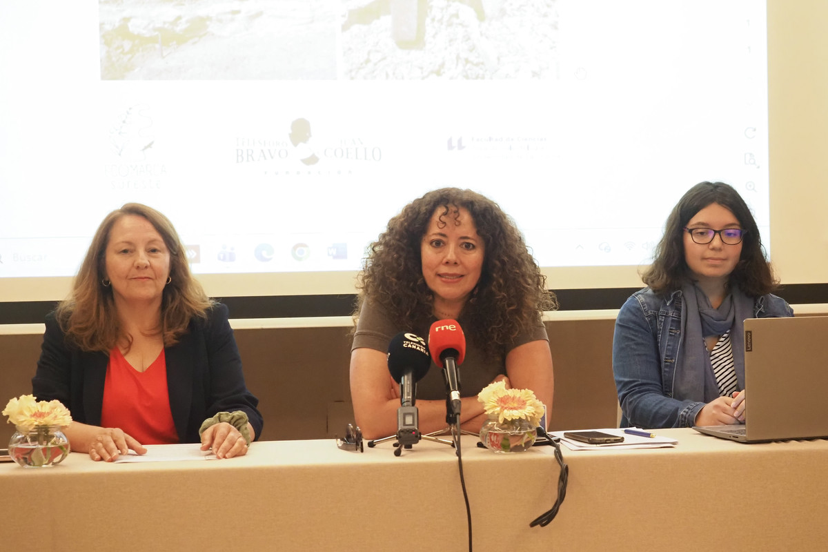 Carolina Castillo (ULL), Alicia Mujica (Ecomarca) y María del Cristo Velasco (ULL) presentaron ayer sus propuestas de mejora legislativa.