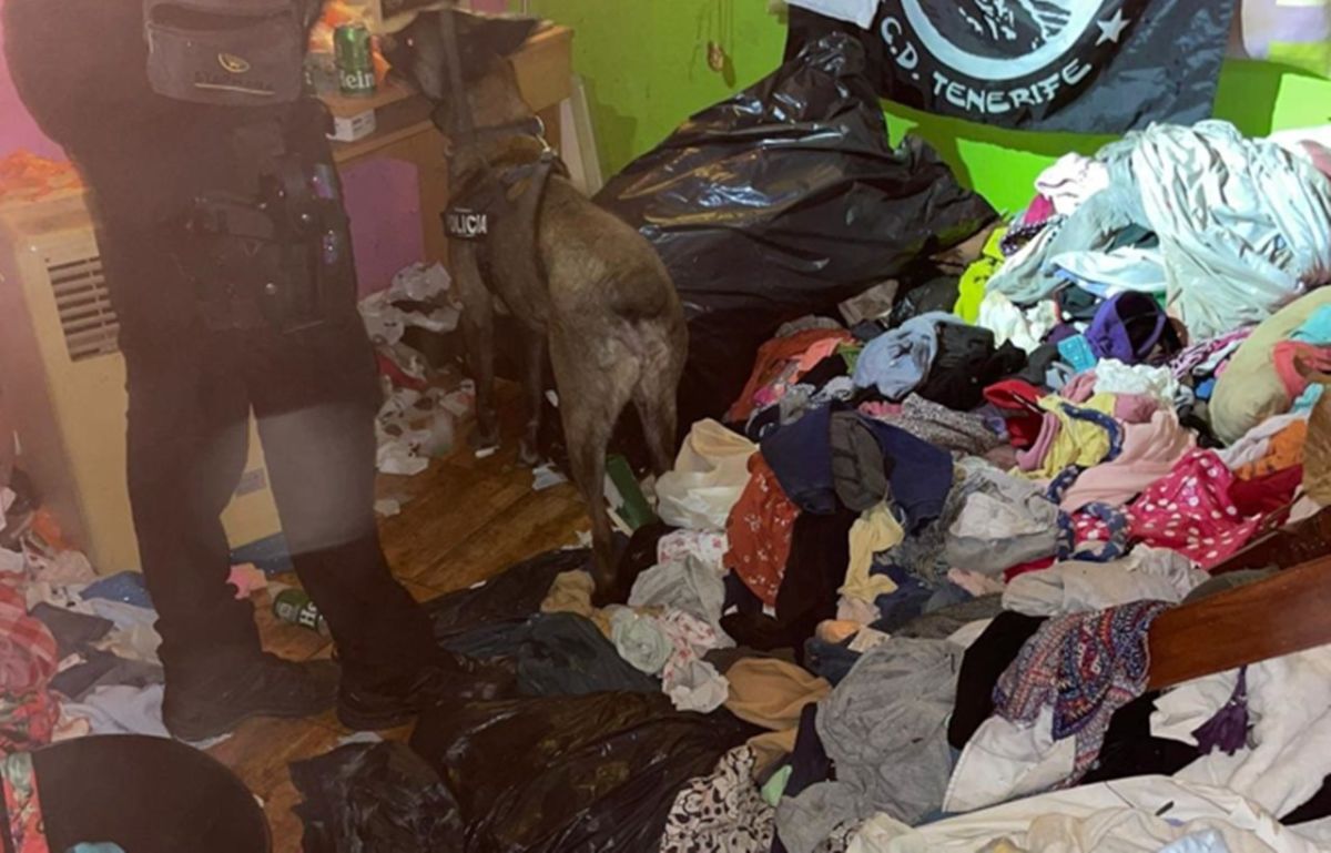 La Policía Nacional desmantela un punto de venta de cocaína establecido en el barrio de Los Gladiolos, en Santa Cruz de Tenerife
