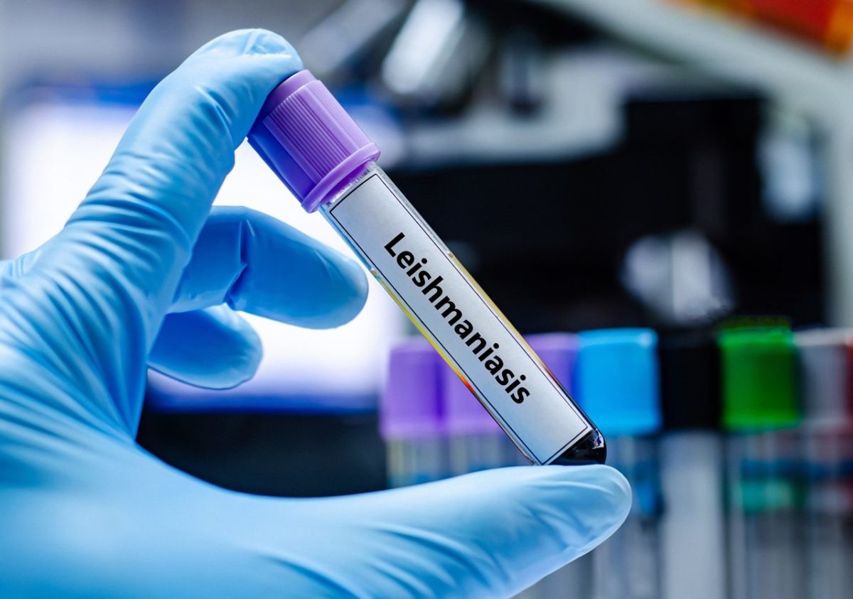 Los veterinarios piden calma ante la leishmaniosis en Canarias