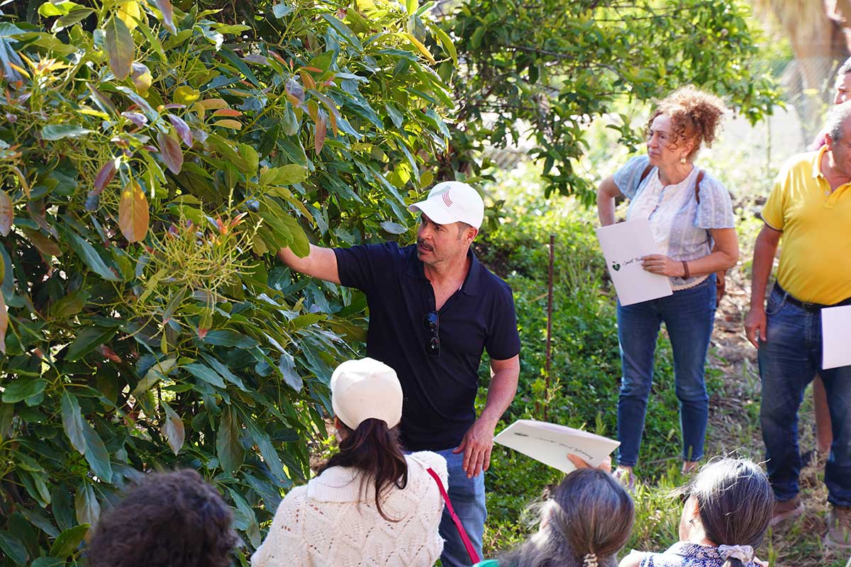 Dinamiza Rural Formación Agrícola y Producto La Matanza de Acentejo