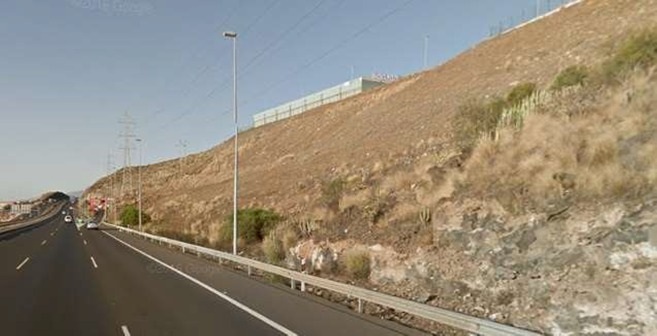 Bandas adhesivas en la TF-1: la solución del Cabildo para evitar la muerte de aves