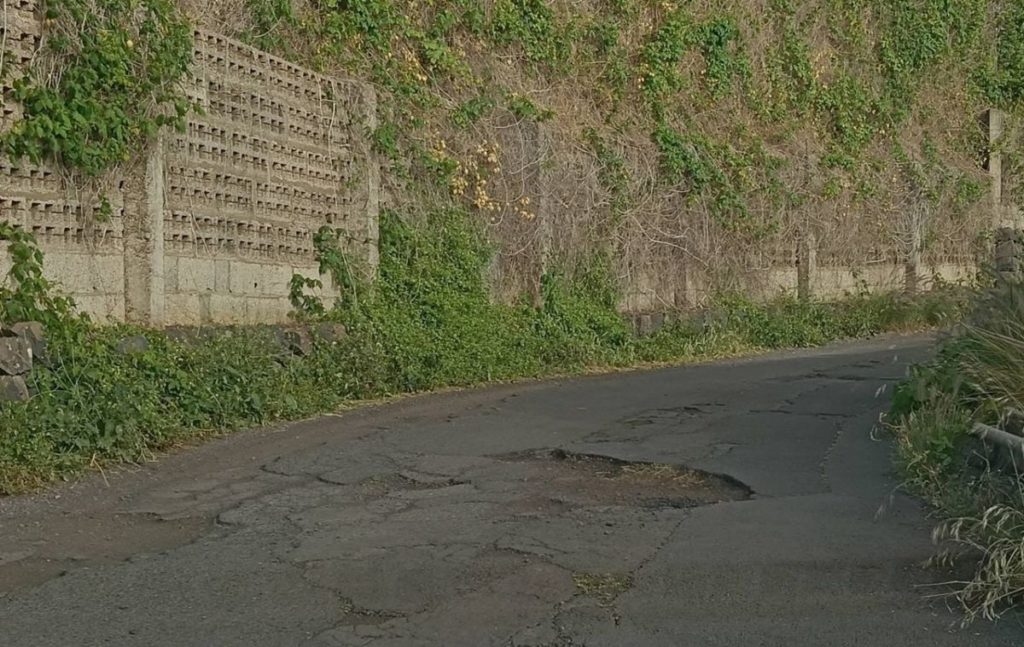 Estado actual de un tramo del camino rural Las Ánimas - Lomarque. | DA