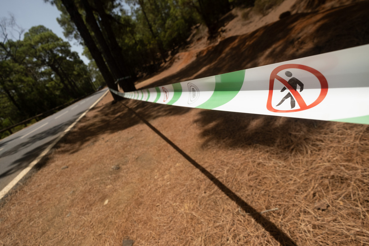 Alerta por incendios en Tenerife: estas son las actividades prohibidas desde hoy