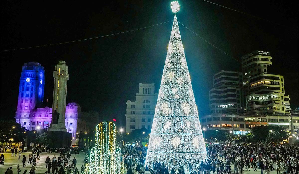 El gran árbol de Navidad volverá a alzarse en Santa Cruz de Tenerife: este año con más metros