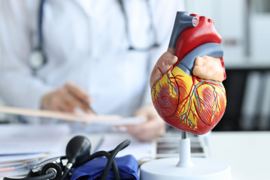 Tratamientos cardiovasculares de alta complejidad: cuando la cardiología va más allá del diagnóstico