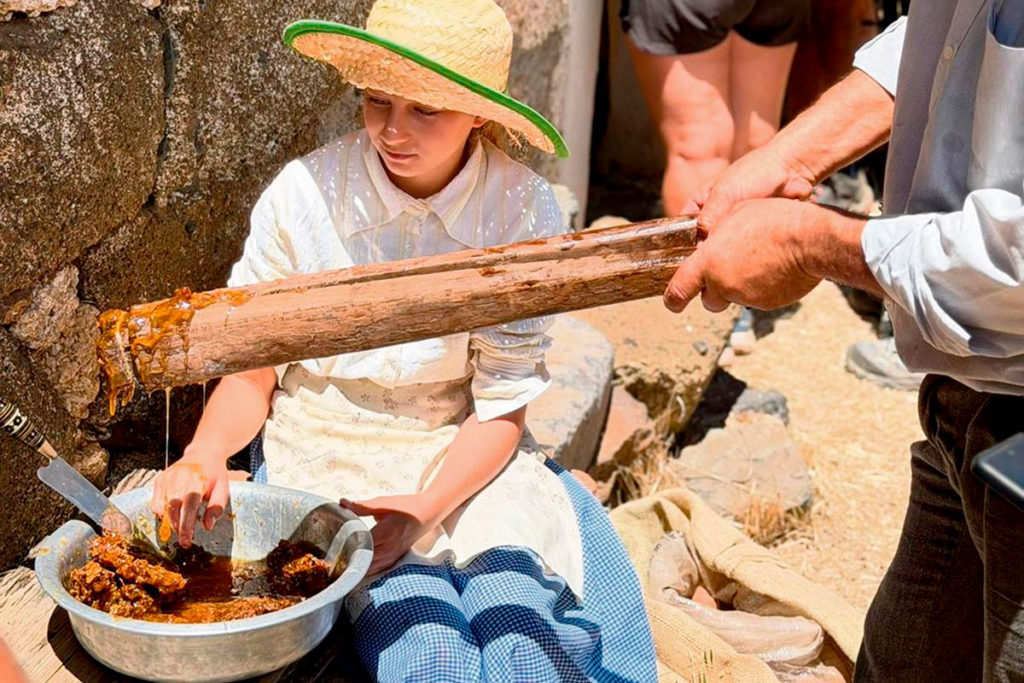 Fasnia celebra la décima edición de 'La Mudá' para preservar la memoria de la trashumancia canaria