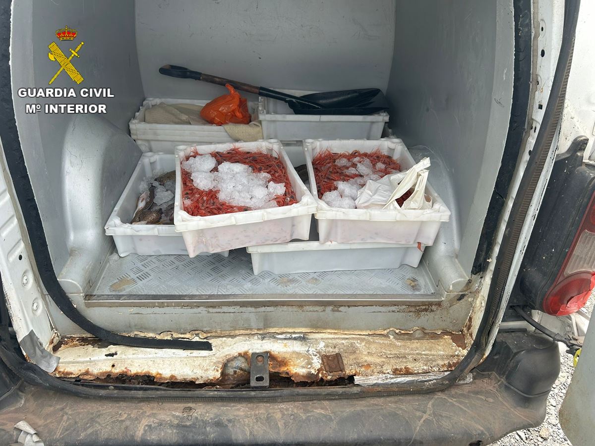 Pesca ilegal en Canarias: la Guardia Civil los pilla con 28 kilos de marisco