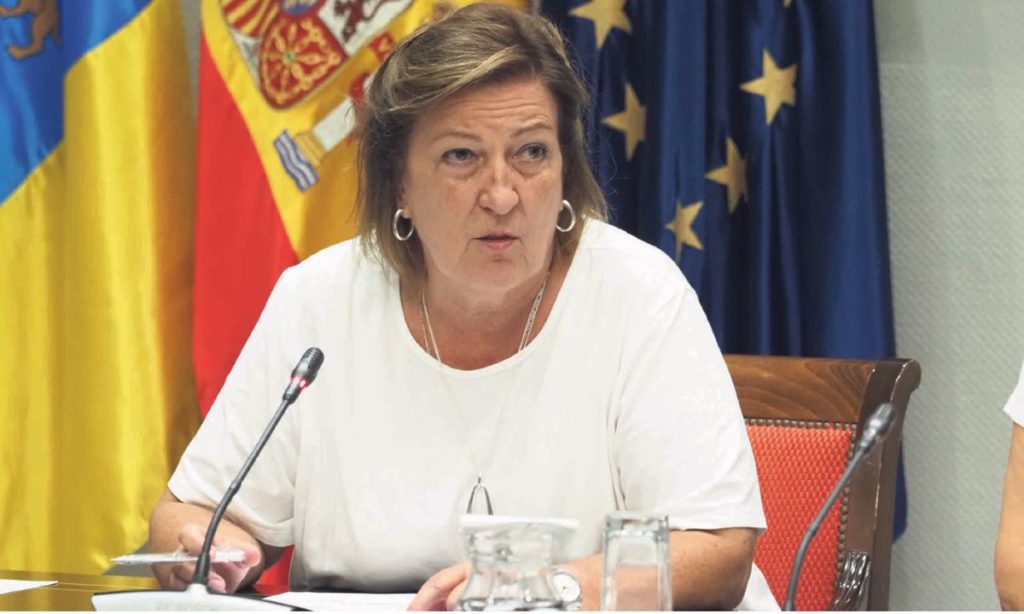 Laucirica: "Infancia, pobreza y discapacidad tienen un efecto multiplicador en la desigualdad"