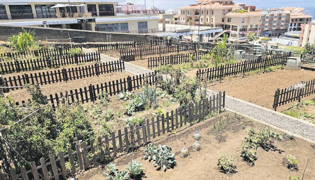 La Orotava Opens Applications for 34 Urban Garden Plots at Doña Chana Park