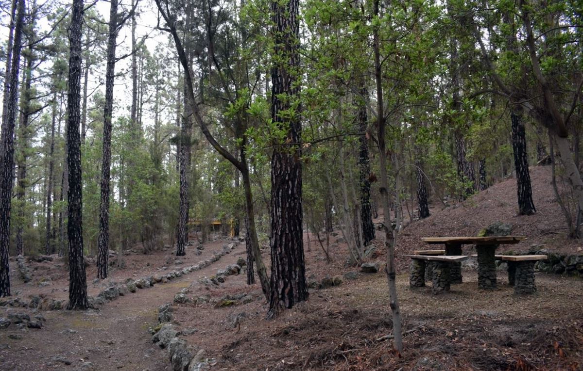 El Cabildo de Tenerife prohíbe el acceso al monte y activa las medidas de grado 2 ante la ola de calor