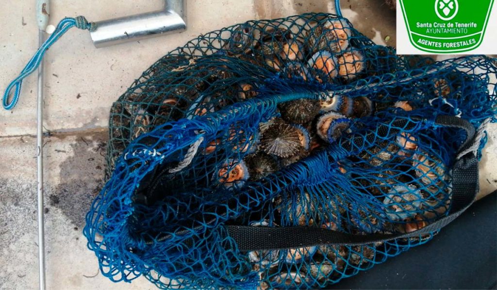 Sorprendido un furtivo en Tenerife con un botín ilegal de 30 kilos de lapas