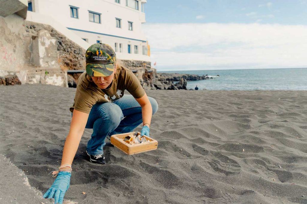 Loro Parque exige una respuesta urgente ante el cierre masivo de playas en Canarias