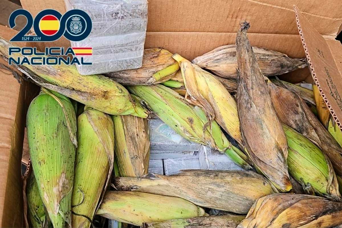 Cae una banda acusada de traficar con hachís oculto entre piñas en furgonetas de alquiler