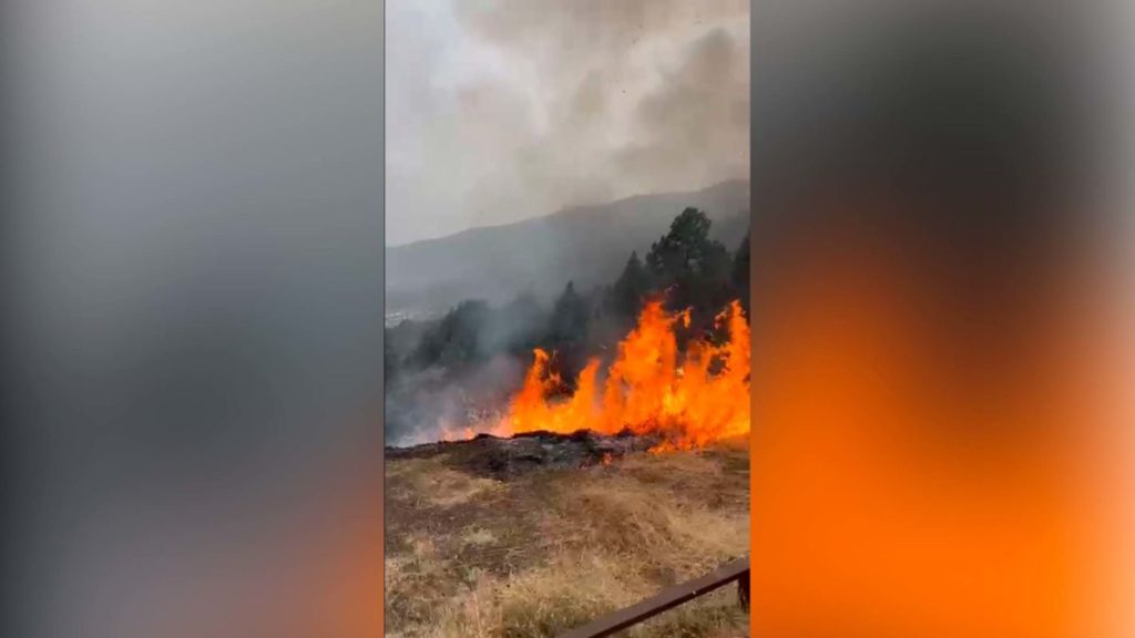 Conato de incendio en Los Loros: los bomberos actúan de emergencia