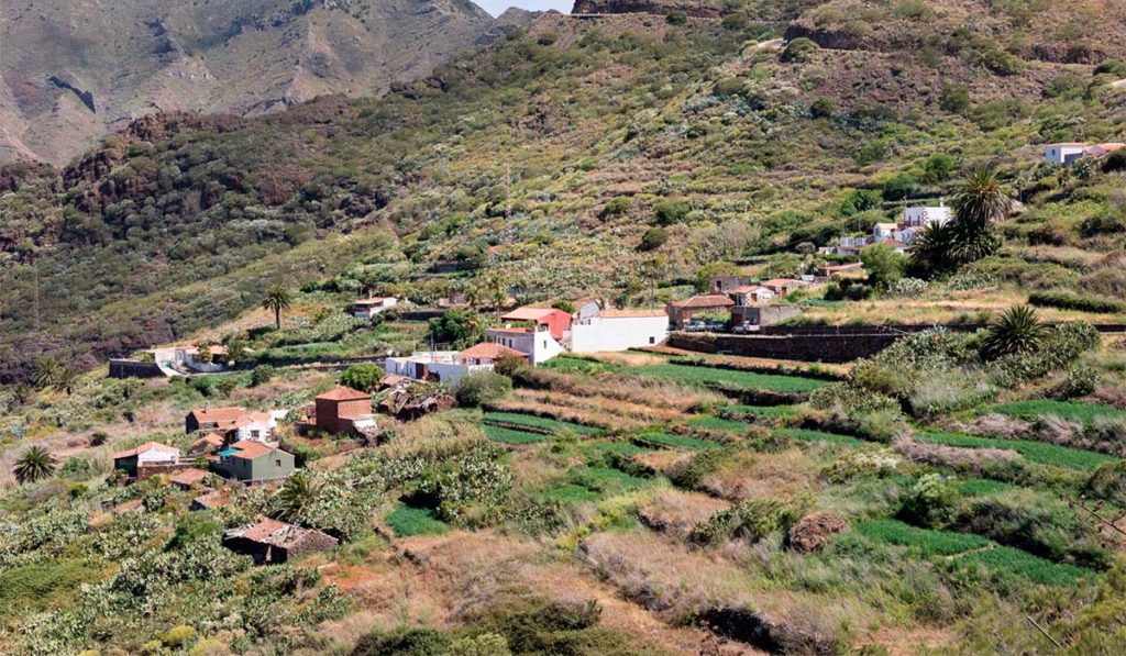 El Ayuntamiento de Buenavista pide una reunión con el Cabildo para evaluar el acceso a Masca