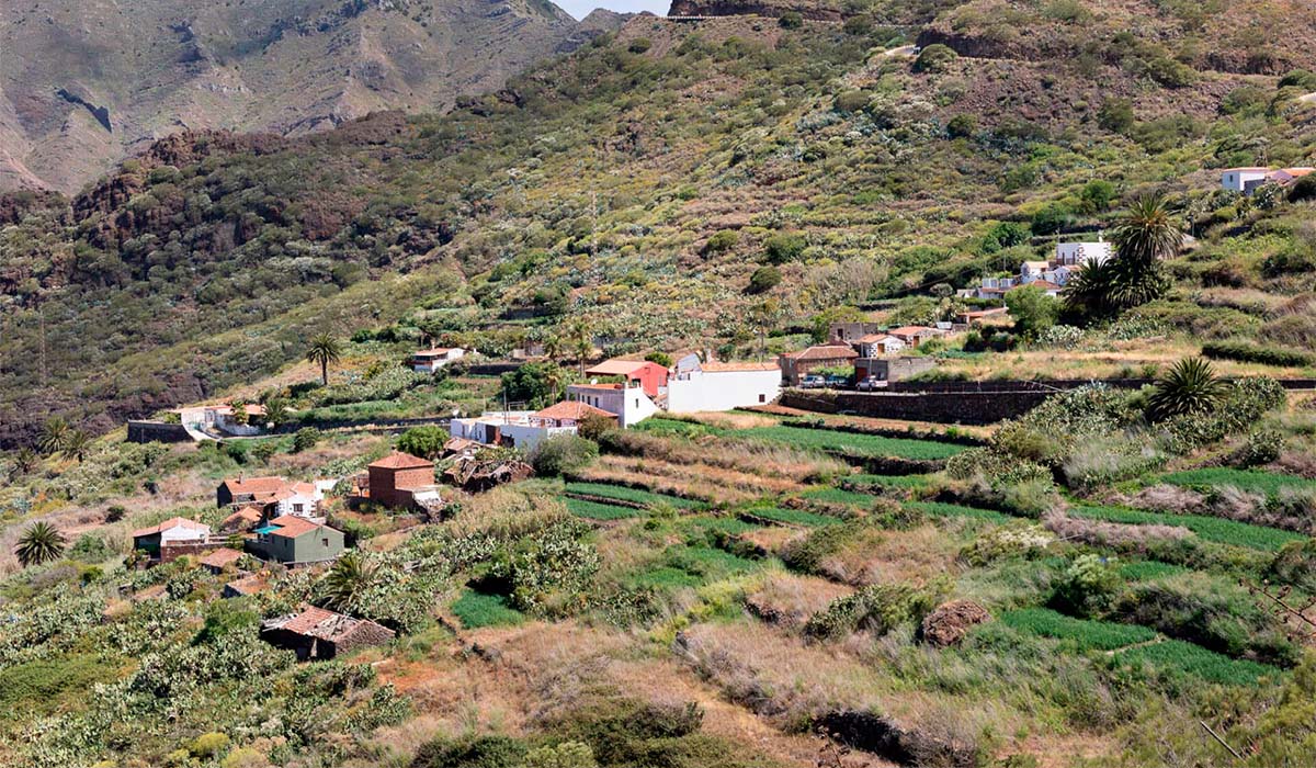 El Ayuntamiento de Buenavista pide una reunión con el Cabildo para evaluar el acceso a Masca