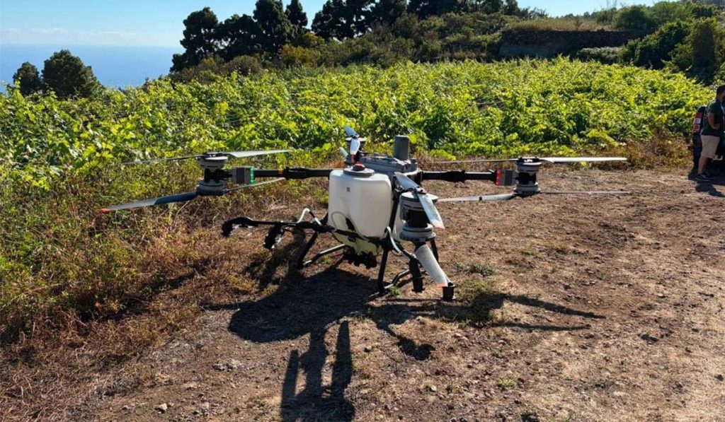 Canarias ensaya con IA y drones para blindar el futuro del vino ante las plagas y el cambio climático