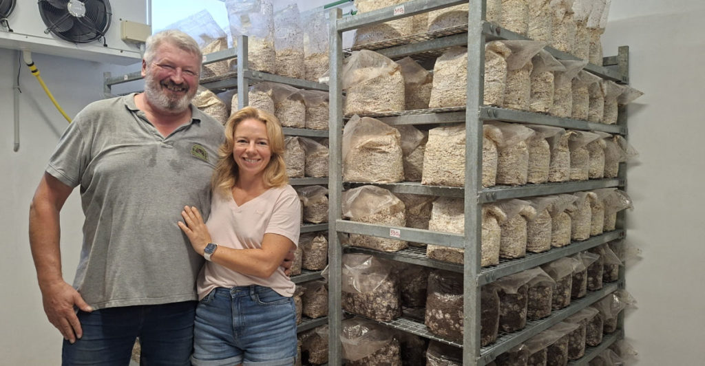 De una granja de cerdos abandonada a cultivar setas exóticas en Tenerife