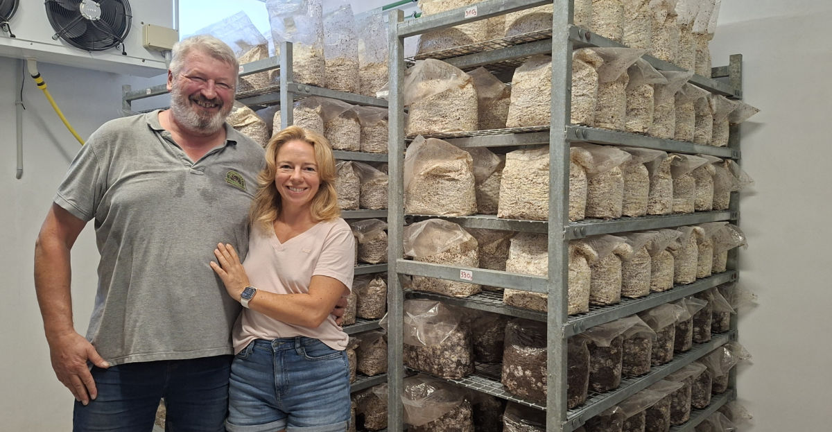 De una granja de cerdos abandonada a cultivar setas exóticas en Tenerife
