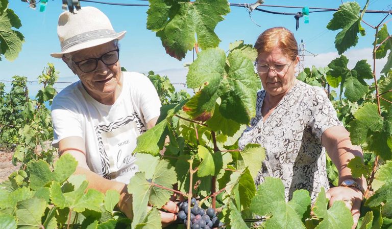 Orgullo y desafíos en Santa Úrsula de la nueva mujer rural