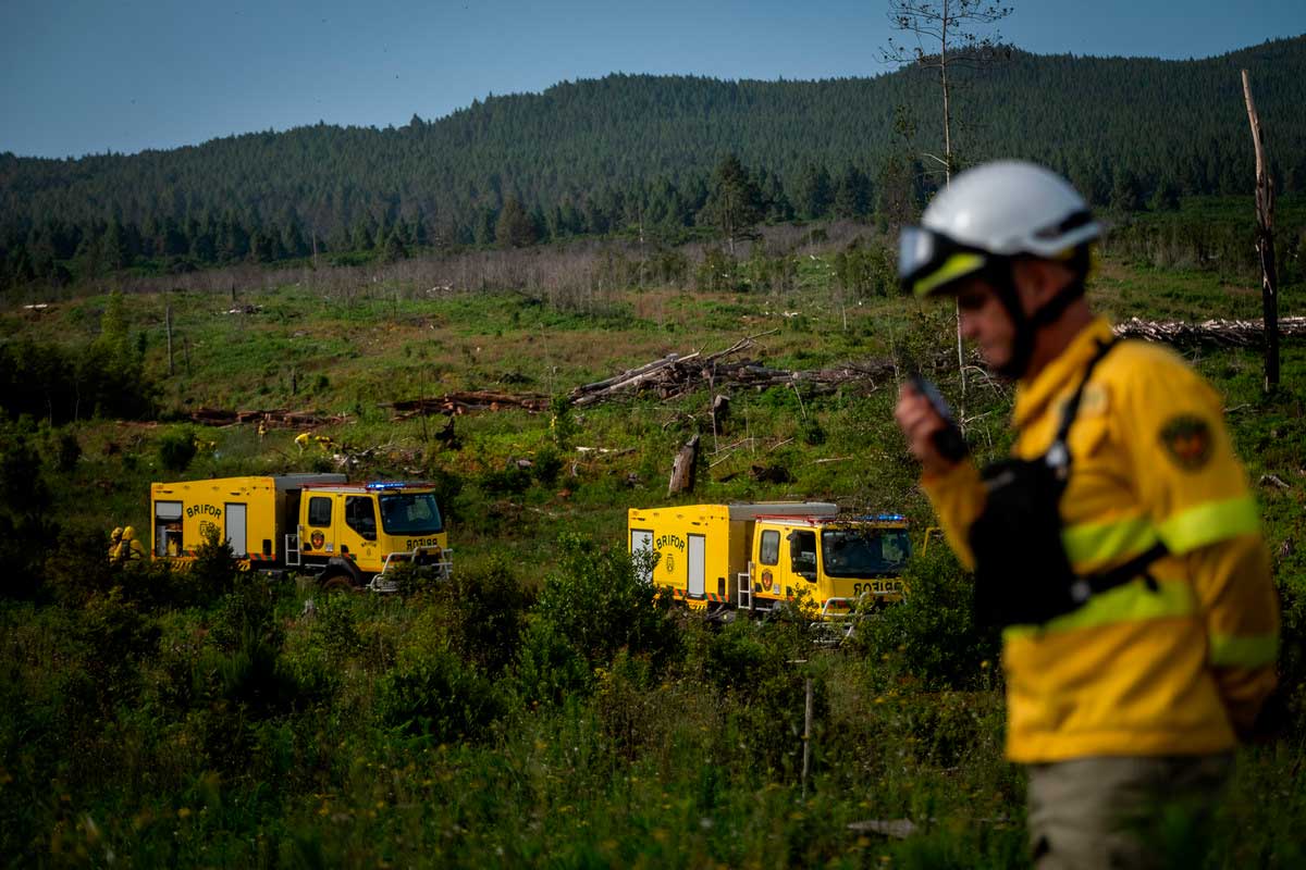 Alerta por incendio forestal en Canarias