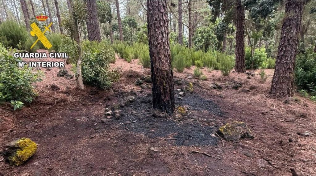 Identifican en menos de una hora al presunto autor del incendio en Icod de los Vinos