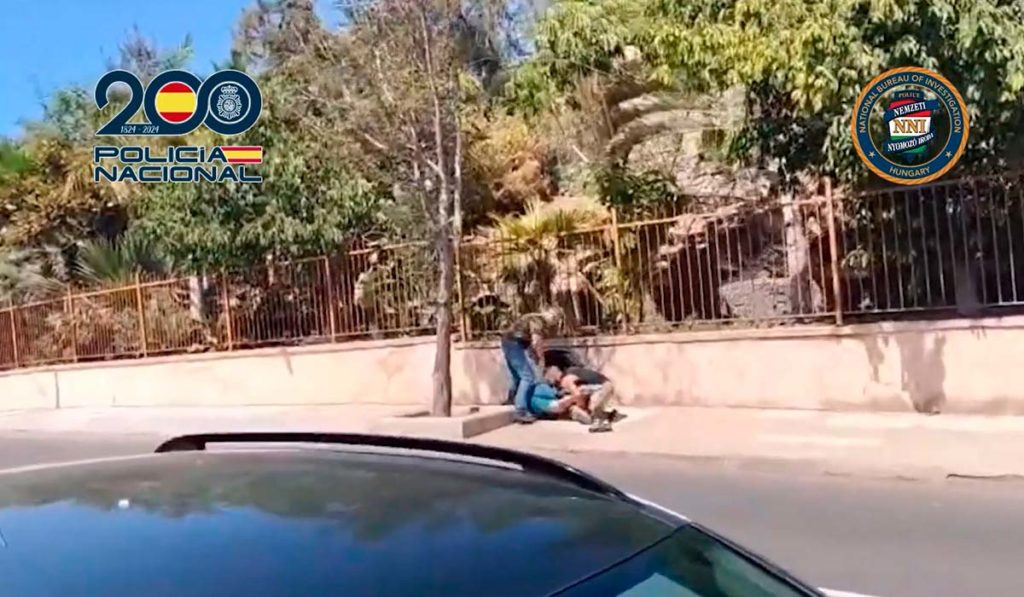 Cae en Tenerife la pareja de fugitivos responsable de la mayor plantación de marihuana de Hungría: 6.289 plantas y 58 kilos de cannabis seco