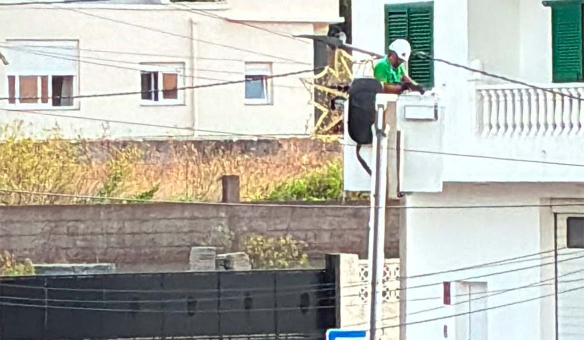 Sorpresa en La Laguna por la colocación de las luces de Navidad en pleno agosto: “¿Esto es en serio?”