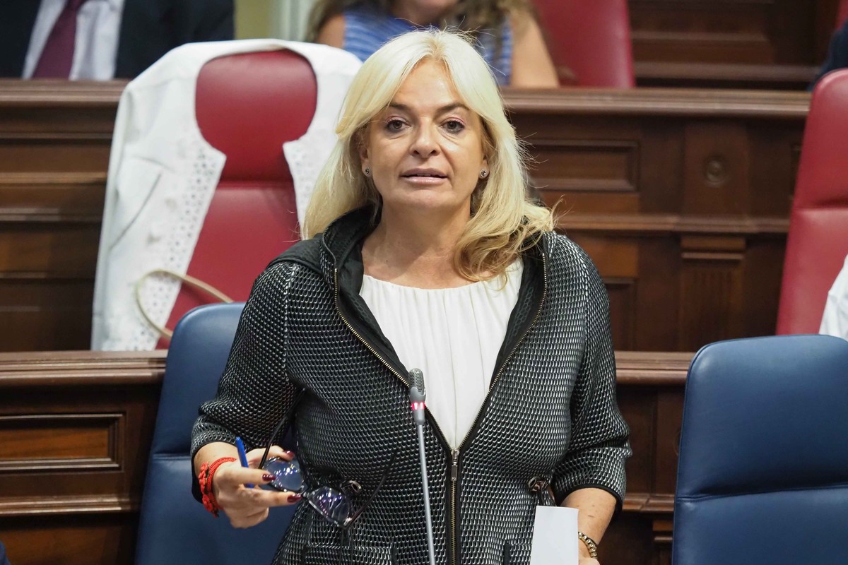 La consejera del Gobierno de Canarias, Esther Monzón, durante una intervención parlamentaria.