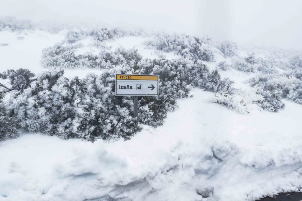 Olvida la nieve y el frío polar: el gran peligro de El Niño en Europa vendrá del Atlántico