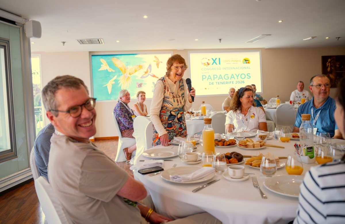Congreso Papagayos Tenerife 2026