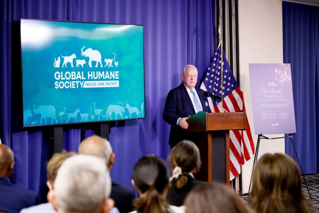 Global Humane Society concede al Dr. Ding Wang el Premio Internacional Wolfgang Kiessling 2026 a la Conservación de las Especies