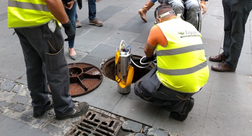 Estos barrios de Santa Cruz tendrán control contra la plaga de ratas y cucarachas