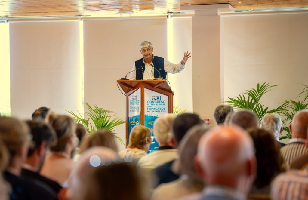 Congreso Papagayos Tenerife 2026