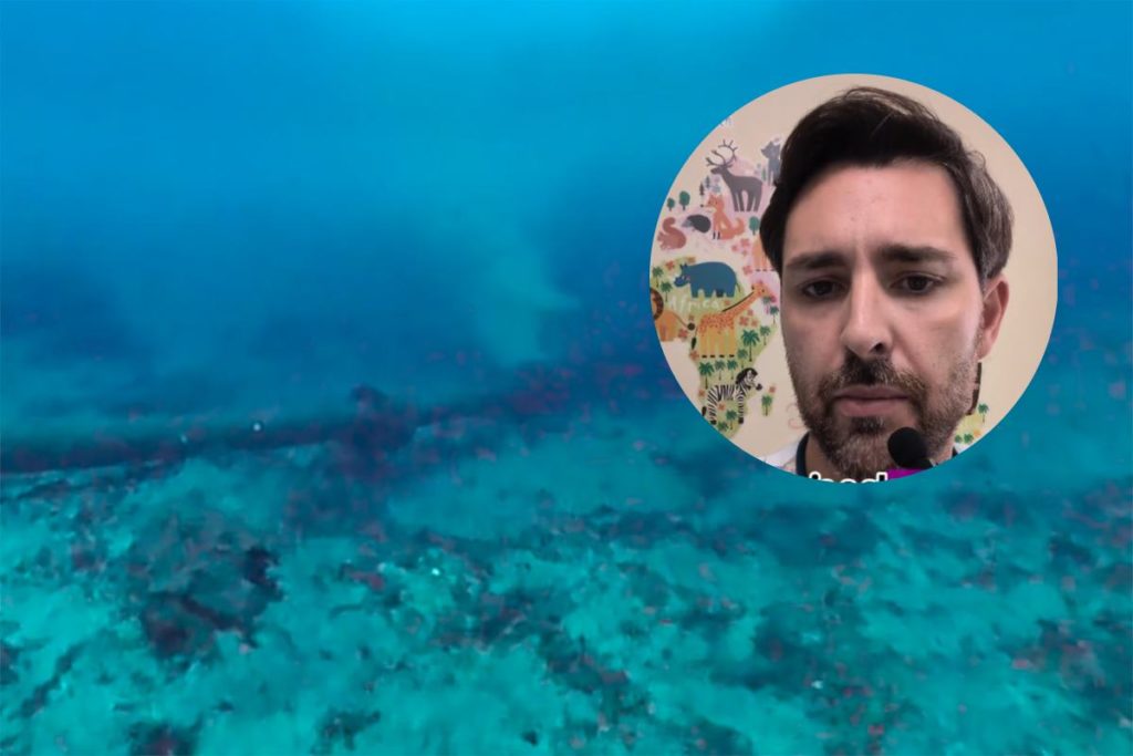 Federico Gentile, pediatra, tajante sobre las infecciones de niños este verano: "Nunca ha sido tan peligroso darse un baño en el mar"